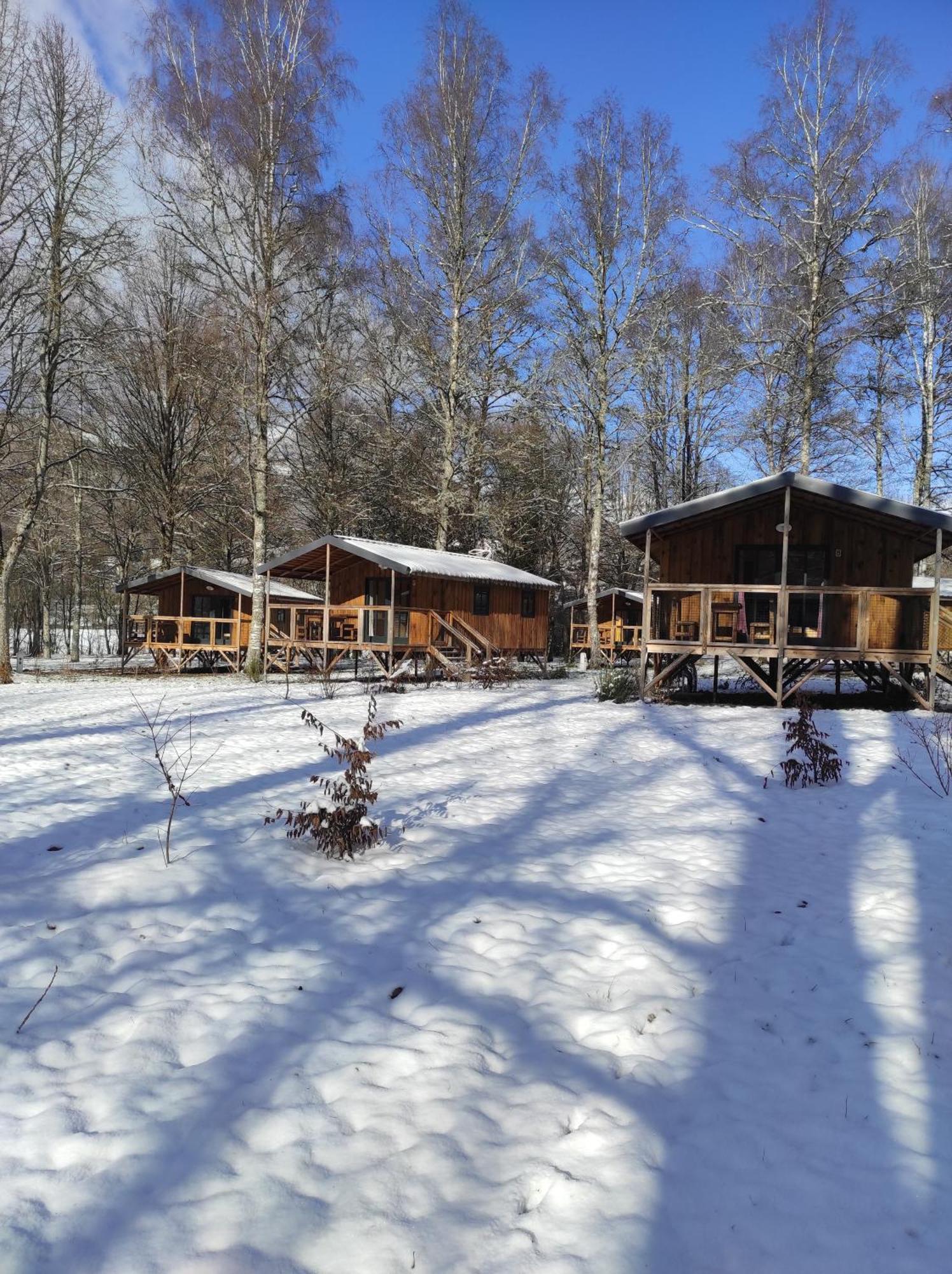 Camping La Borie Basse Condat  Экстерьер фото